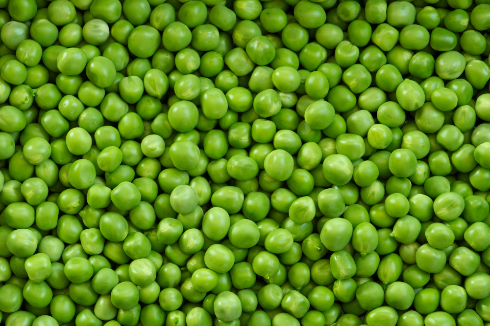 Fresh Green Pea Crop Pattern