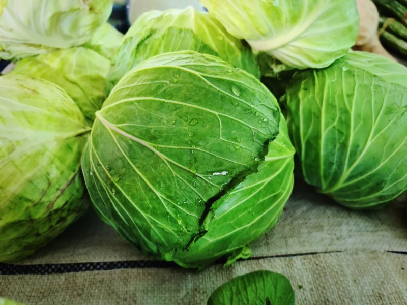 Close Up Fresh Wet Green Cabbage